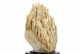 Fascinating, Calcite/Aragonite Stalactite Formation - China #360497-2